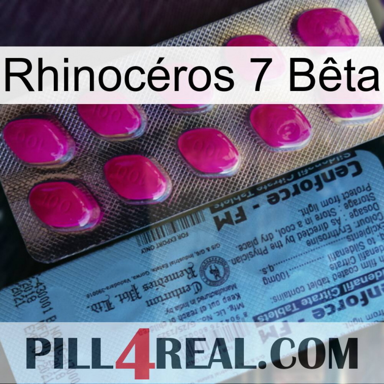 Rhinocéros 7 Bêta 35